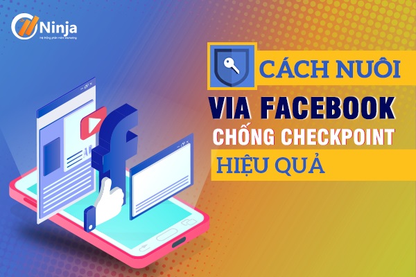 cách nuôi via không bị checkpoint