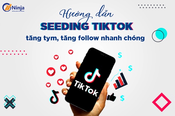 Seeding tiktok